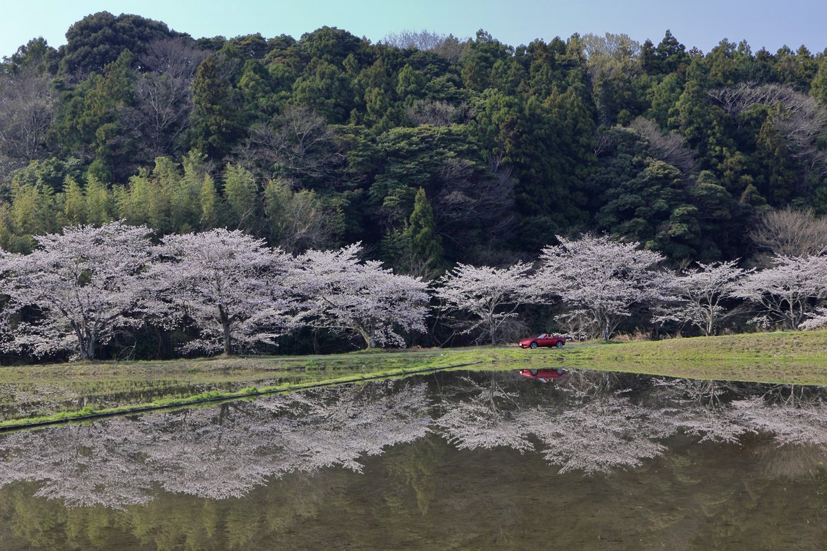 カナイ tweet media