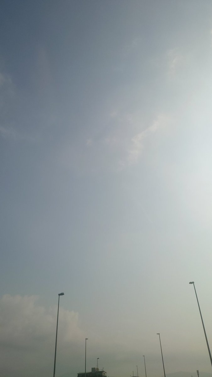 SOO -ソマル- 【公式】京都でしか買えないお土産「おふき」 tweet media