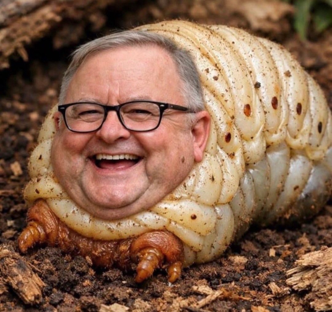 PooreyTv's tweet photo. @BenFordhamLive Its almost as like Albo thinks its his own money that needs to be spent to get the country out of this mess. https://t.co/R1ej5uF6kh
