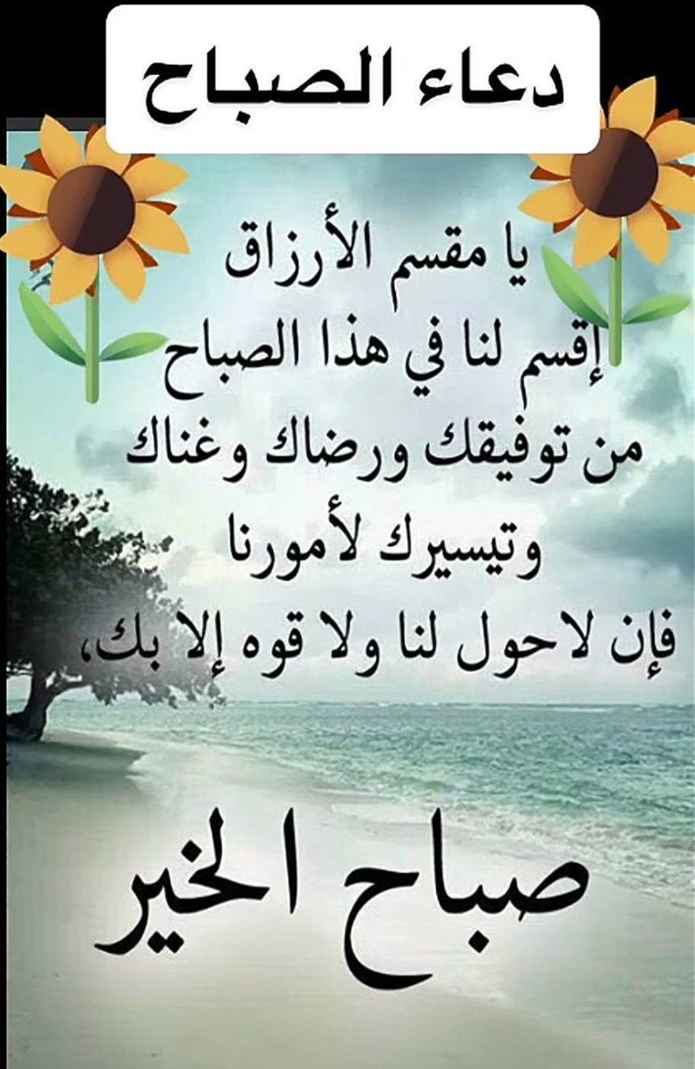 ابو امير tweet media