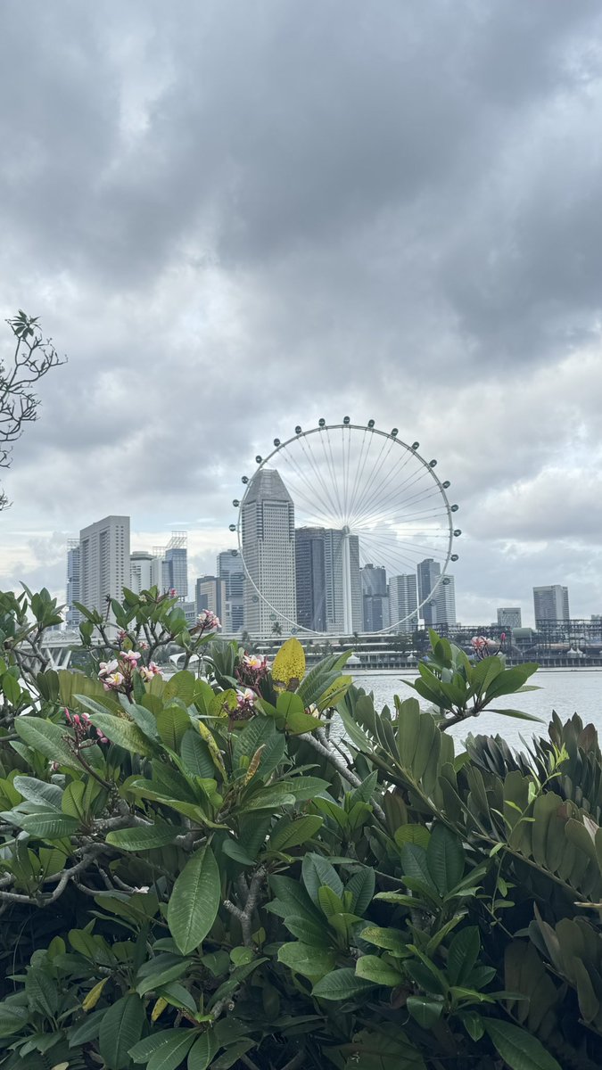 singapore and their otters