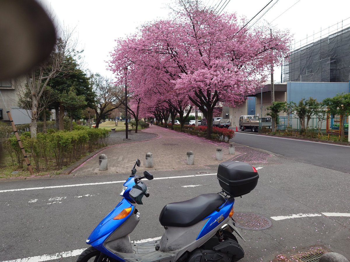 きざきざやん tweet media