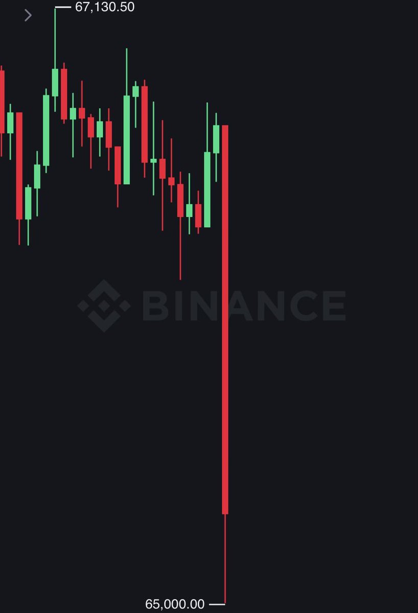 Slizzle 🐳 tweet media