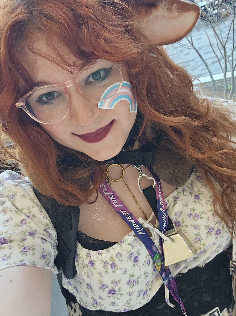 CowsGoMooooooooo 🏳️‍⚧️ tweet media