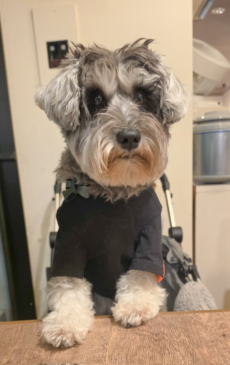 Mill_U._.U tweet media