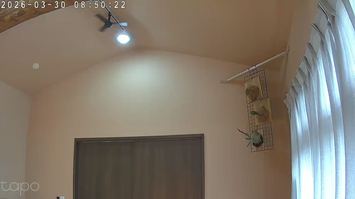 マルヤマ tweet media