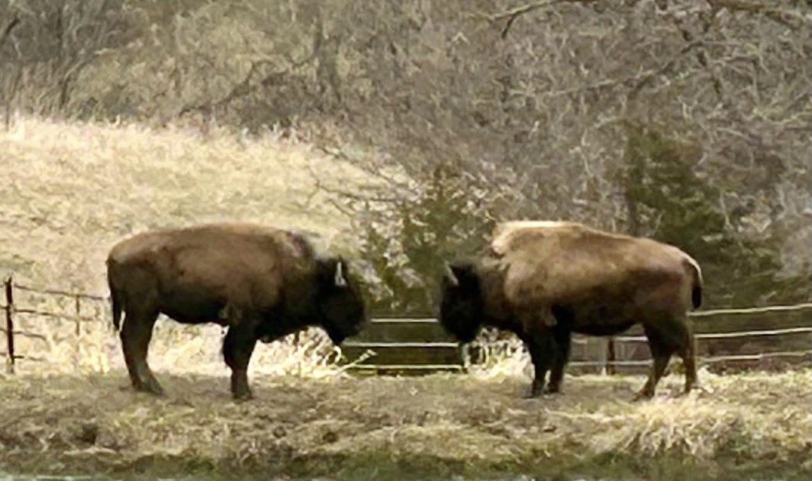 Rod Beeler tweet media