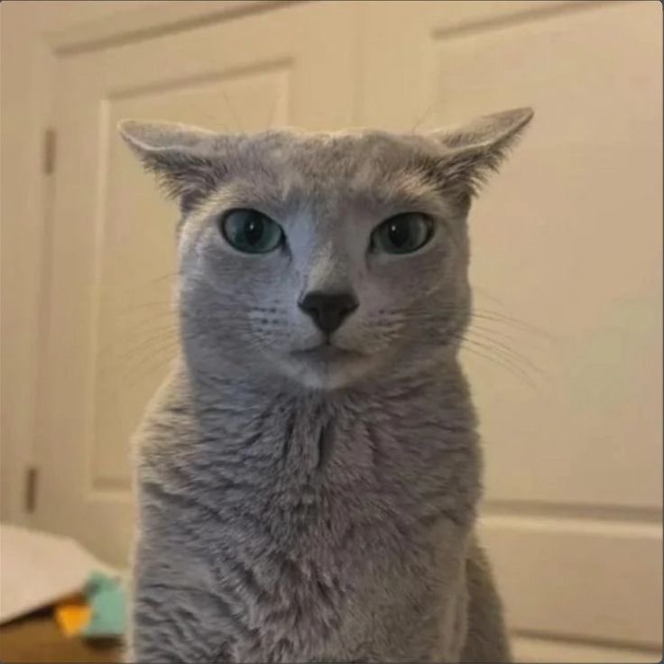 Braley78 tweet media