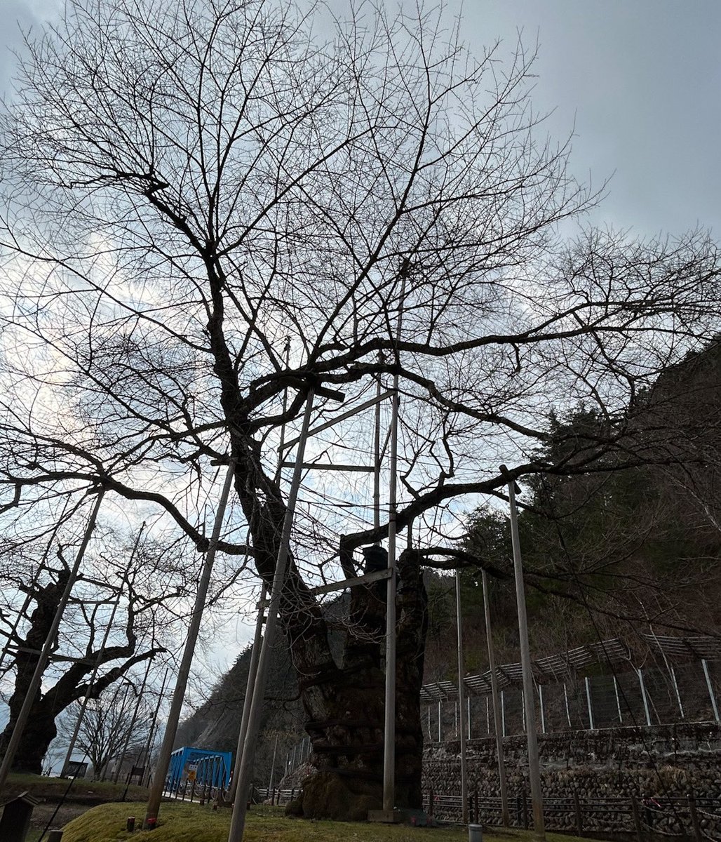 しおつ tweet media