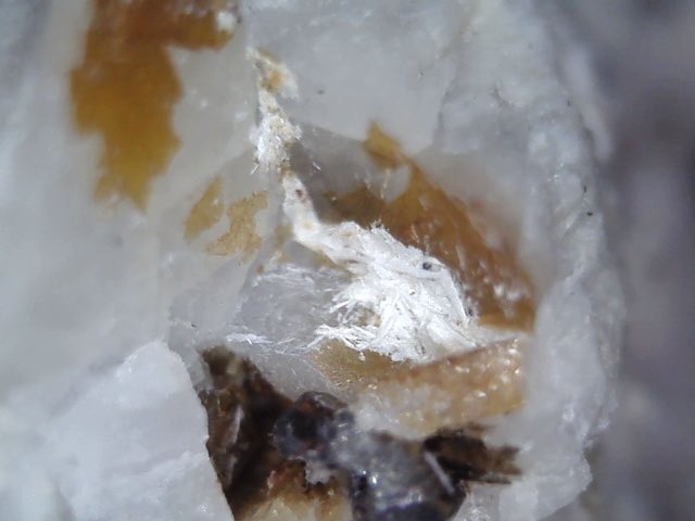 KolTolspmin's tweet photo. Lecoqite-(Y)
Poudrette quarry, Mont Saint-Hilaire, Canada (TL)
FOV 1.5cm

白い繊維状の外観が特徴のNaとYの炭酸塩鉱物。産地は原産地とスペインのEureka鉱山の2ヶ所のみが知られています。 https://t.co/M4Dc4oRpBr