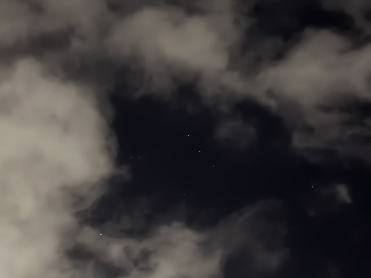 𝚊𝚗𝚍𝚛𝚎𝚊 tweet media