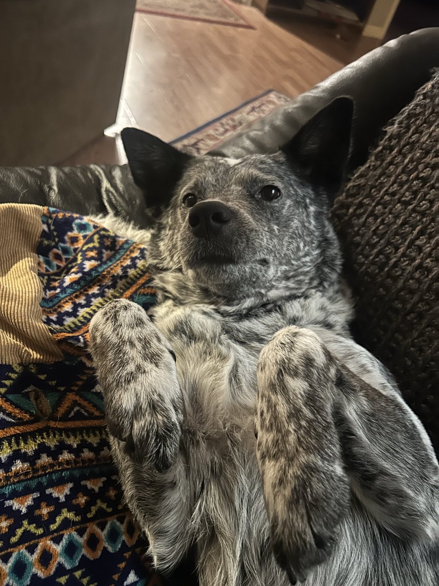 Tim Hendrickson tweet media