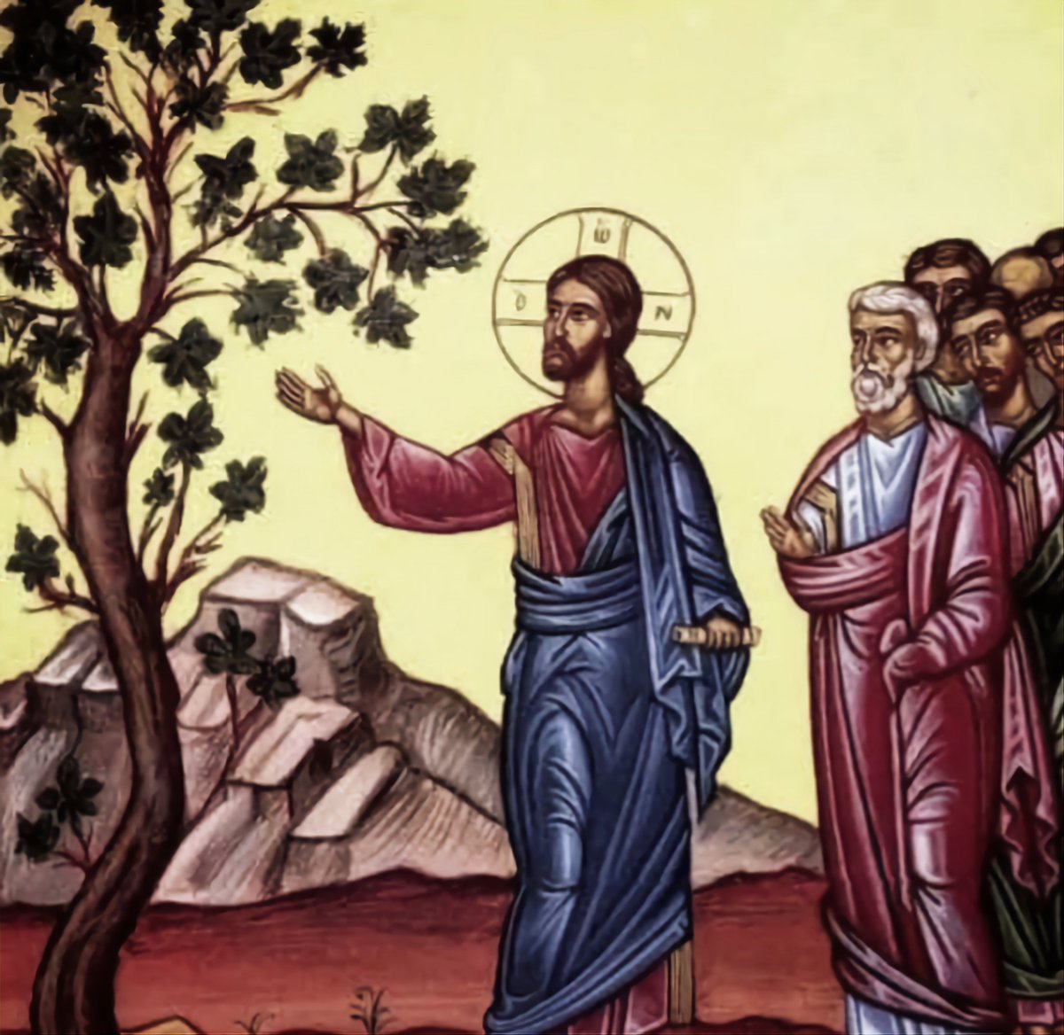 Memento Mori tweet media