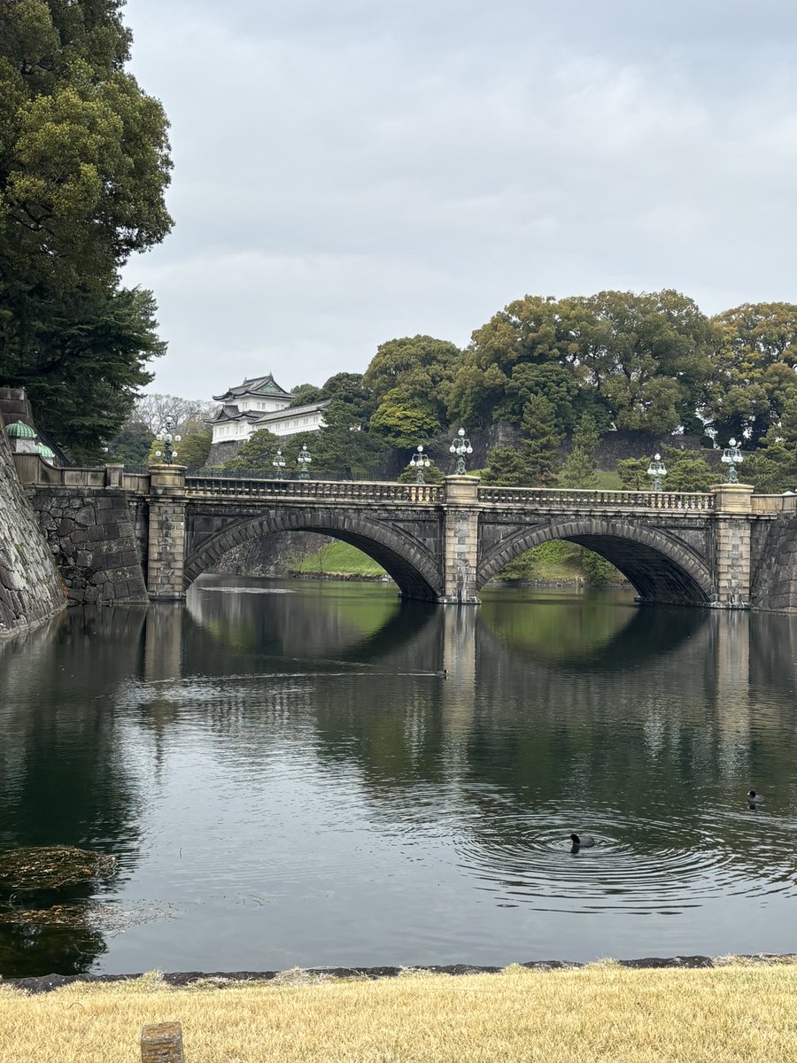 今日は早い電車乗れたから久々東京駅から歩いて出勤

丸ビル前と皇居