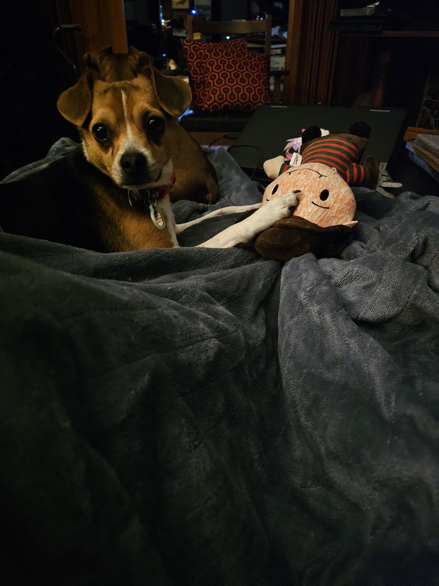 Disabled Trash Witch♿ tweet media