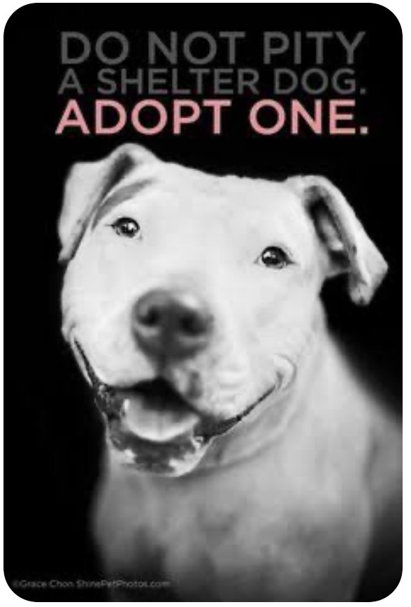 Katie Amess tweet media