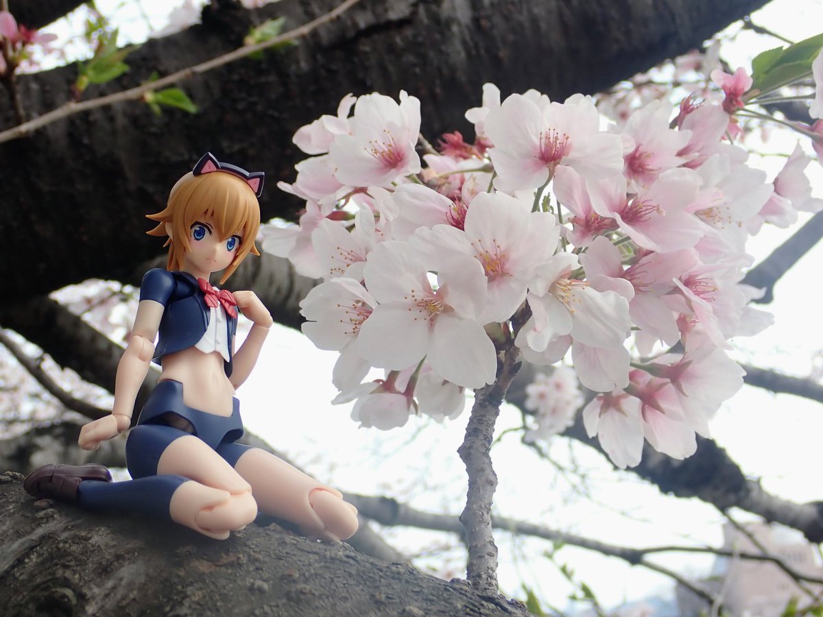 ルマシヨ tweet media