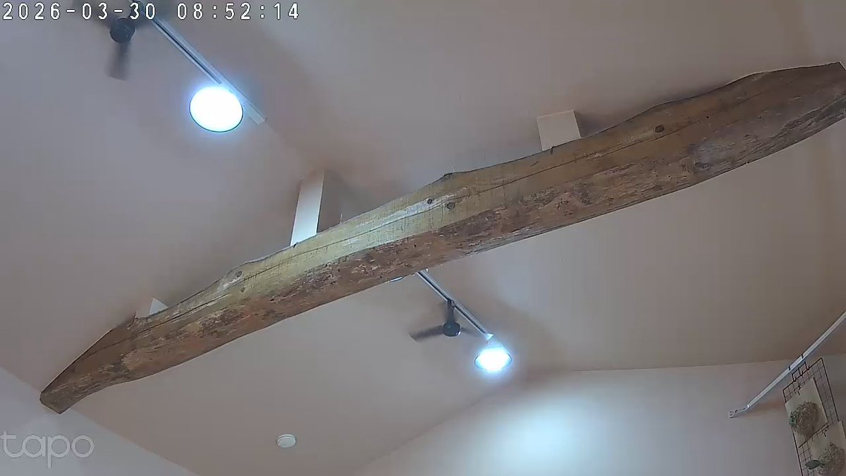 マルヤマ tweet media