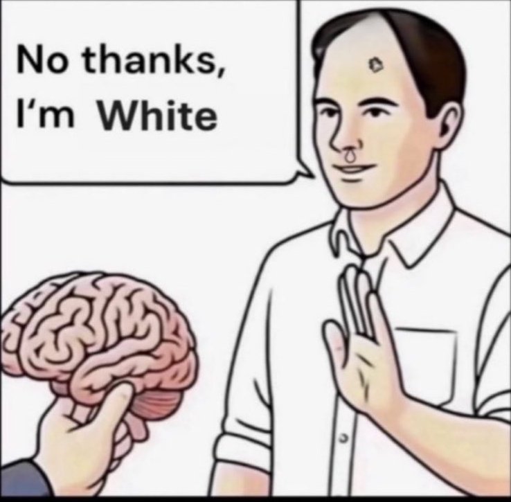 🫡TRUTH MATTERS tweet media