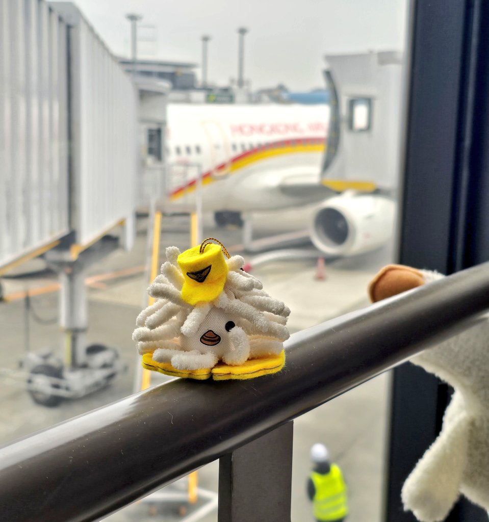 キシコ@ｺｽｴｸⅮ6 tweet media