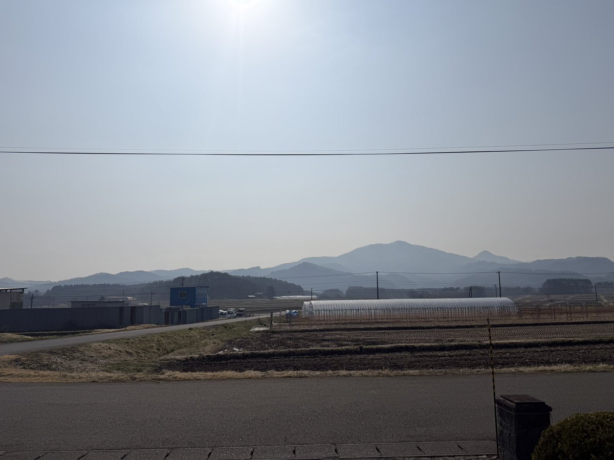 みすちん tweet media