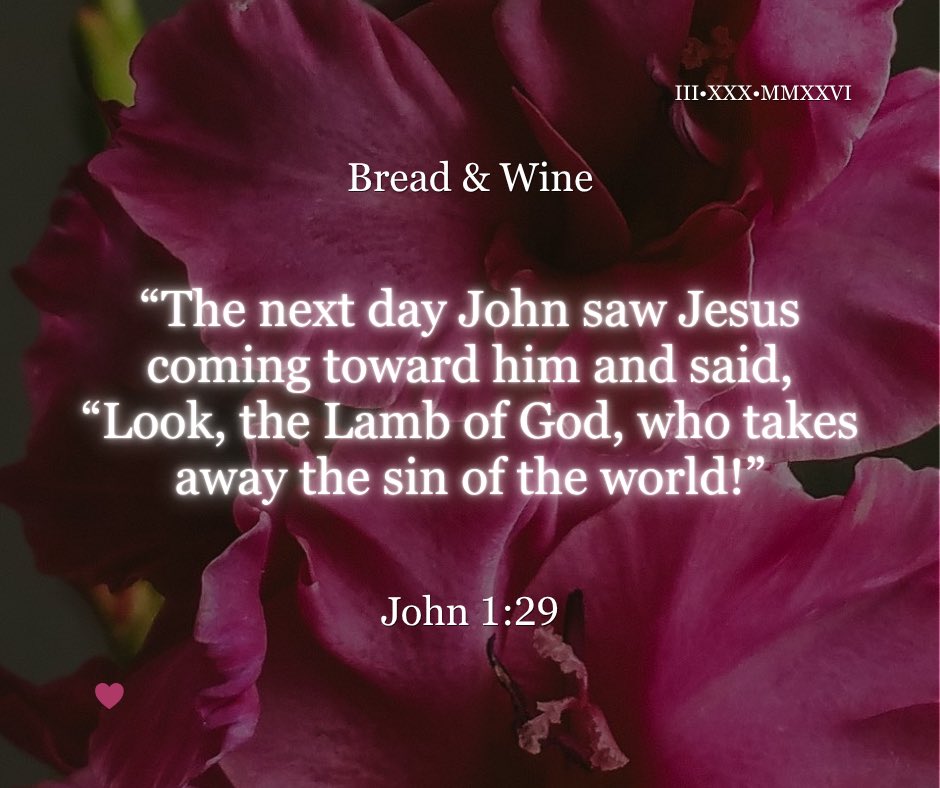 QueenQQ25's tweet photo. #TGIM🤗 #BlesseD_NewWeek🌸
🌤️#BT📖#TWTTTL🙌#BW
https://t.co/wlxoI1Dj83
Psalm63❣️ *Kari Jobe*
#Love❤️💙#Peace https://t.co/SOdHbhLkN1