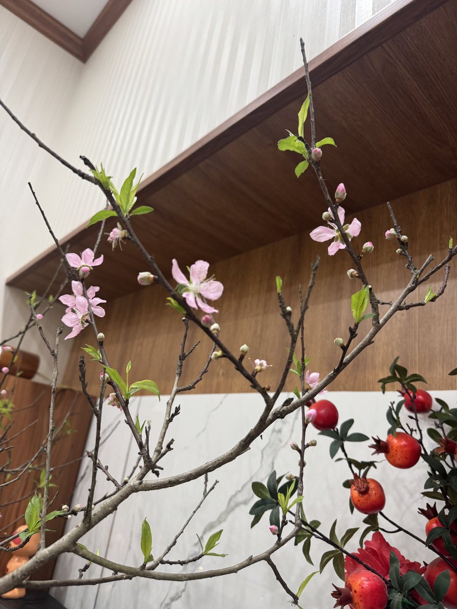 Chickennn 🧚🏻₊$XAGE tweet media