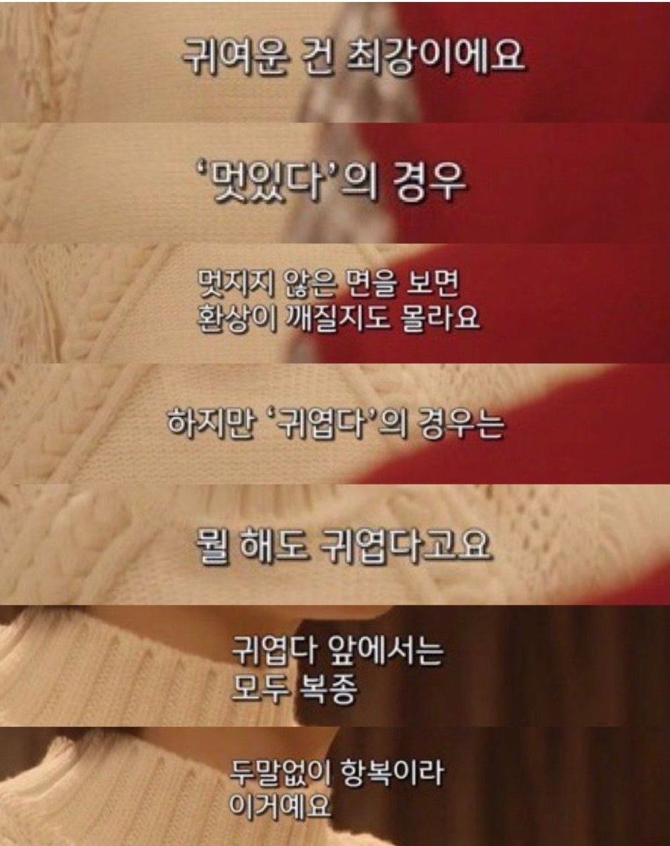 물만둡🥟 tweet media