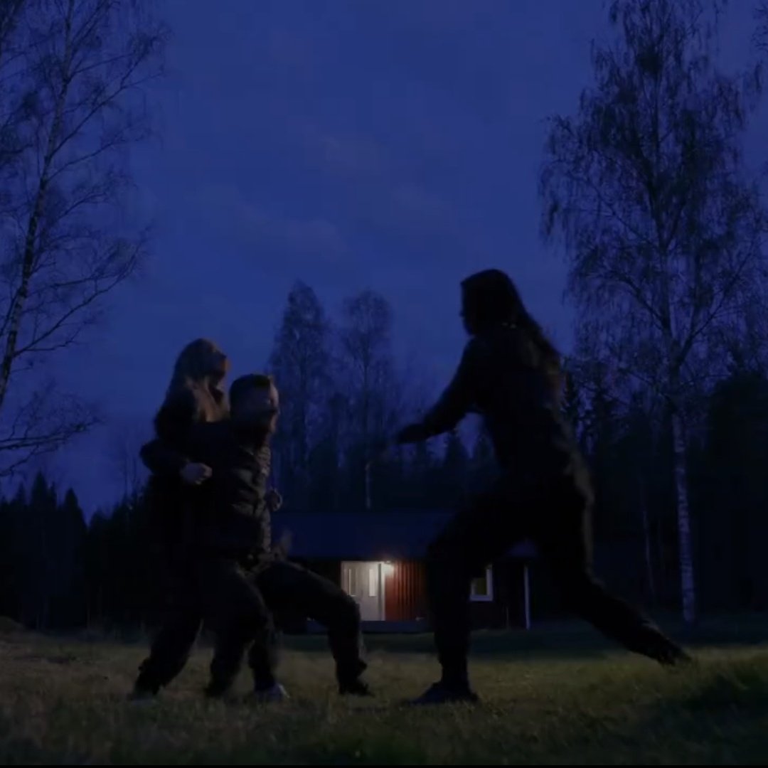 somewhat daily Tim Öhrström tweet media