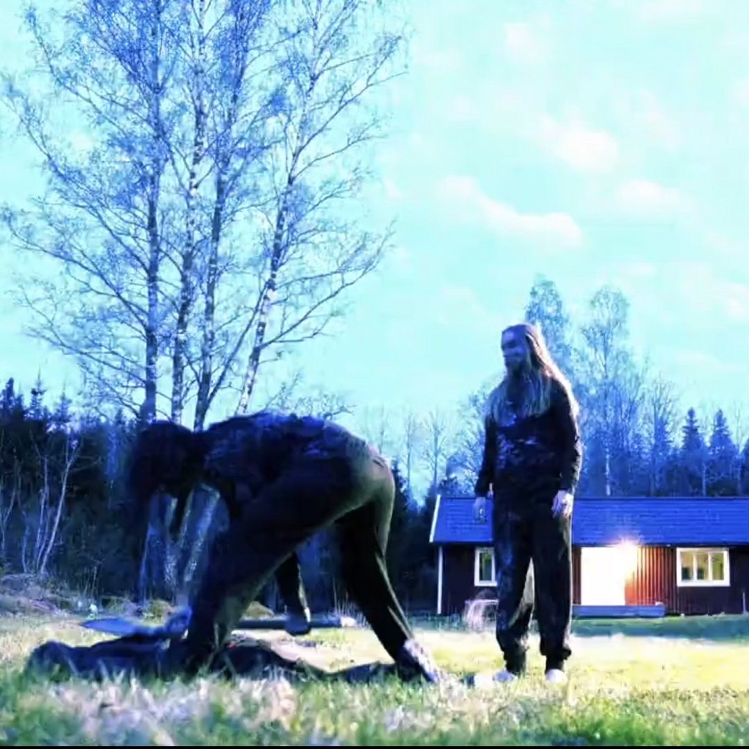 somewhat daily Tim Öhrström tweet media