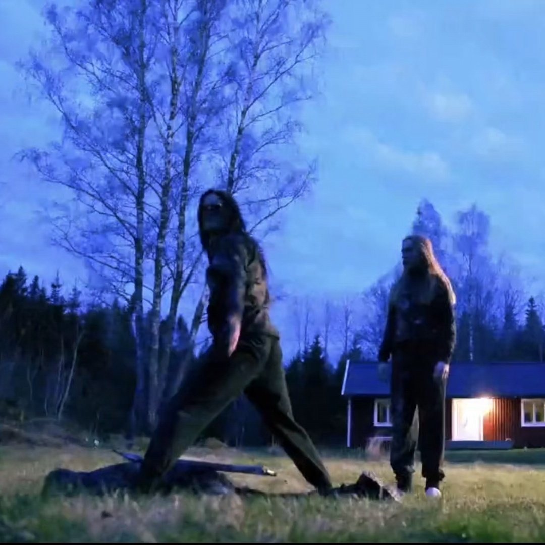 somewhat daily Tim Öhrström tweet media