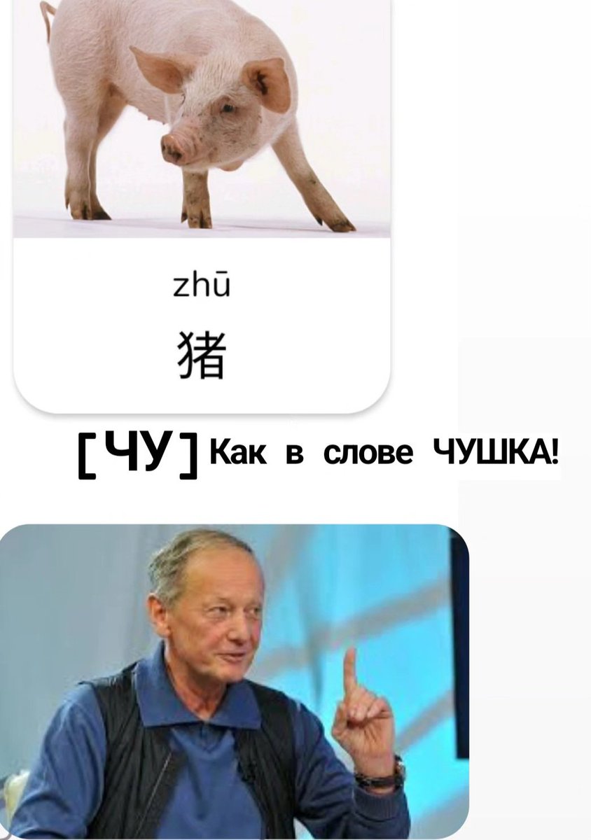 что тут у нас tweet media