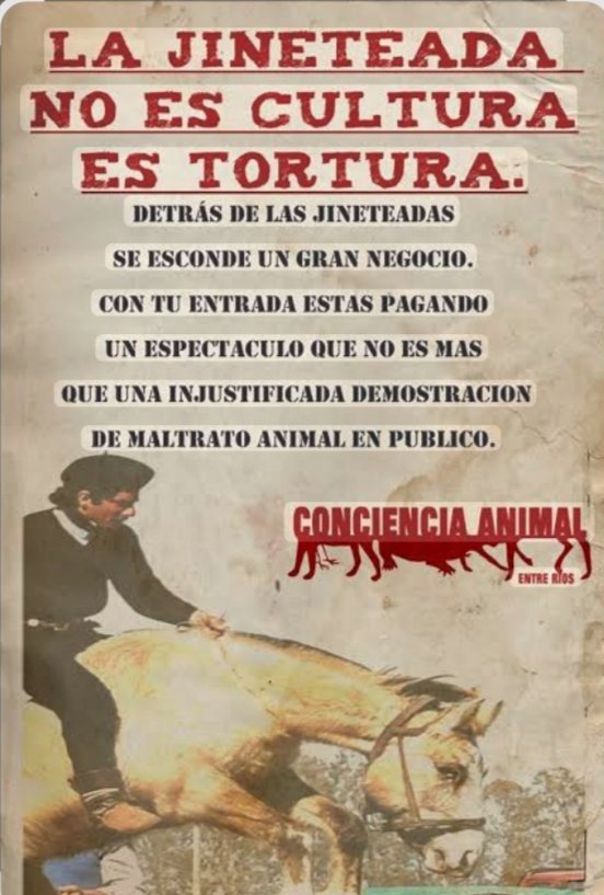 Estela Palacios tweet media