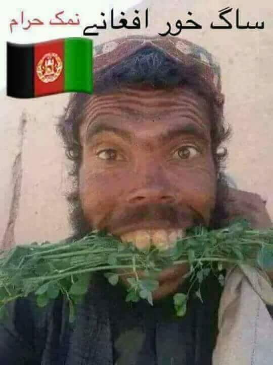 SILENT MATE tweet media