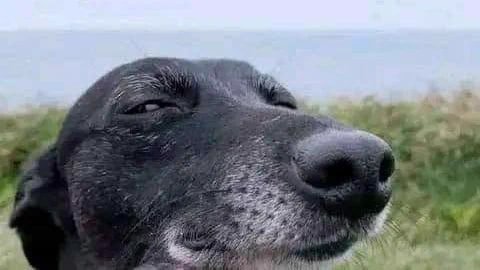 NDASSA POT 👉 🇹🇿 tweet media