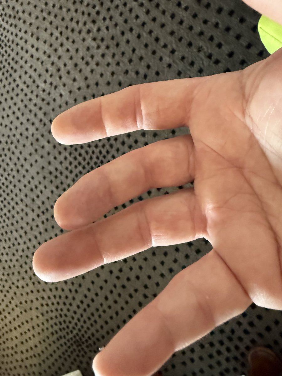 Peter Bonner tweet media