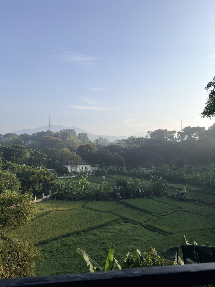 dalaa 🐰 tweet media