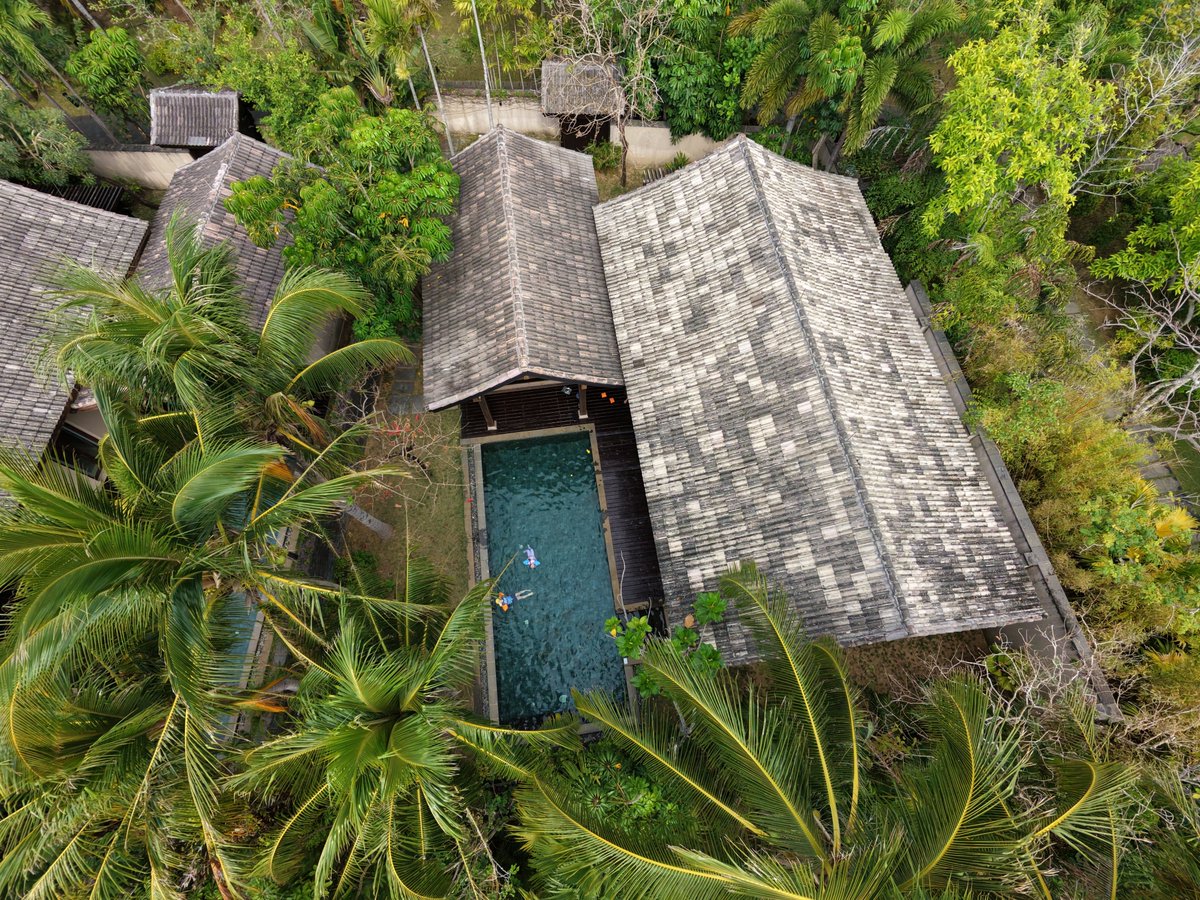 🔪 American McGee 🖤 tweet media