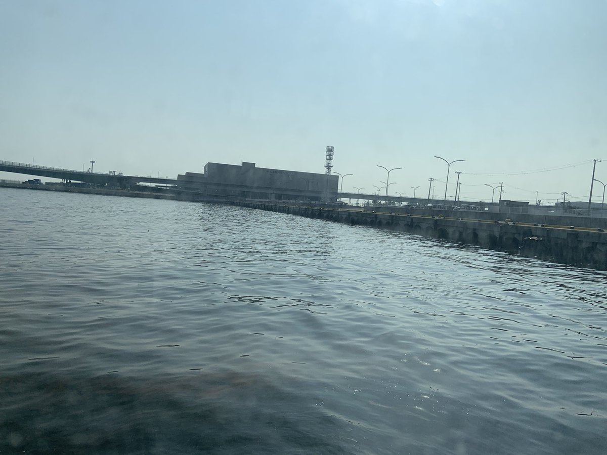 とくさん tweet media