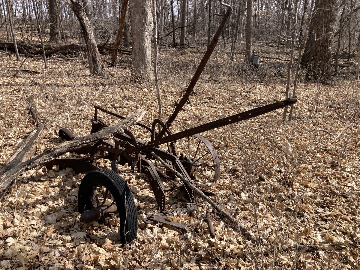 D w/Lily tweet media