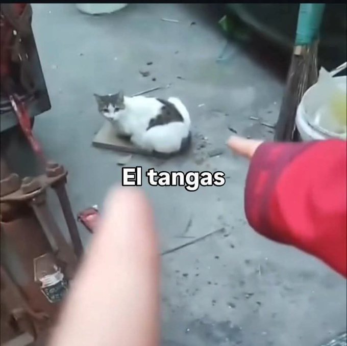 En Júpiter tweet media