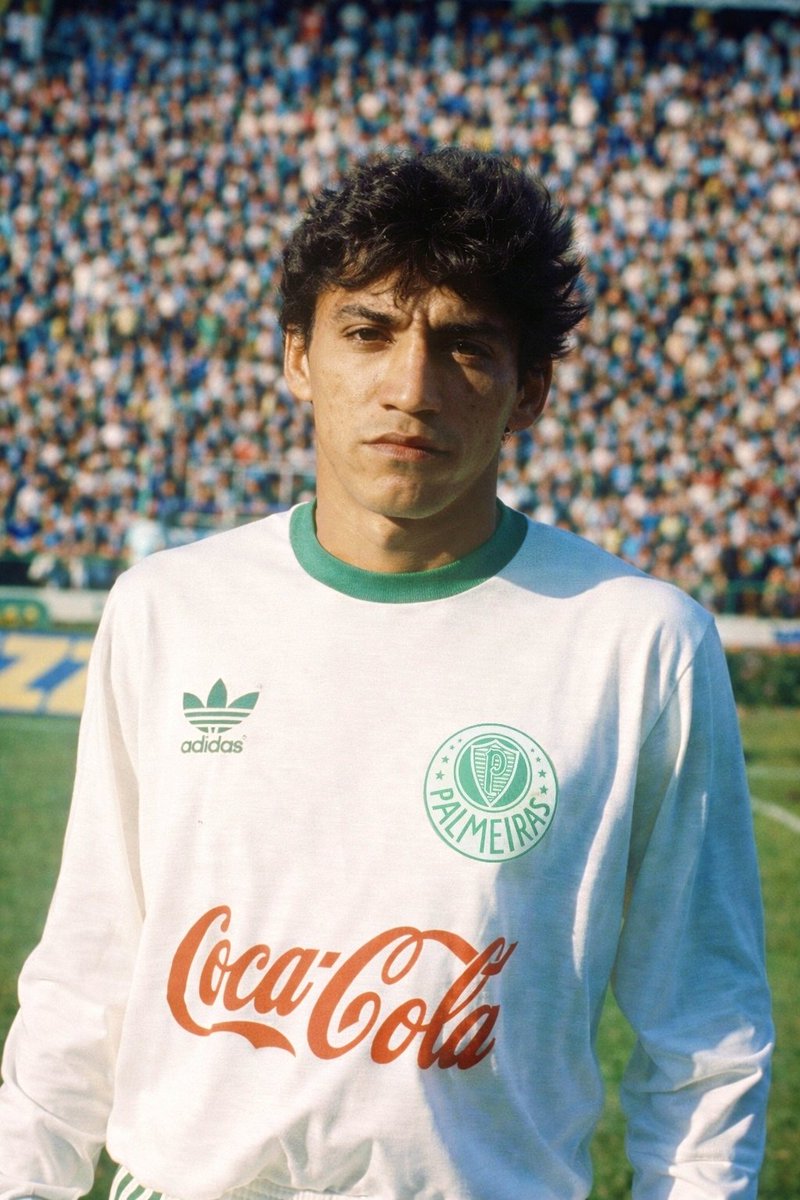 COLORI PALESTRA tweet media