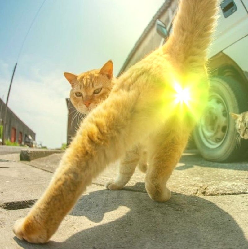 るう太 tweet media