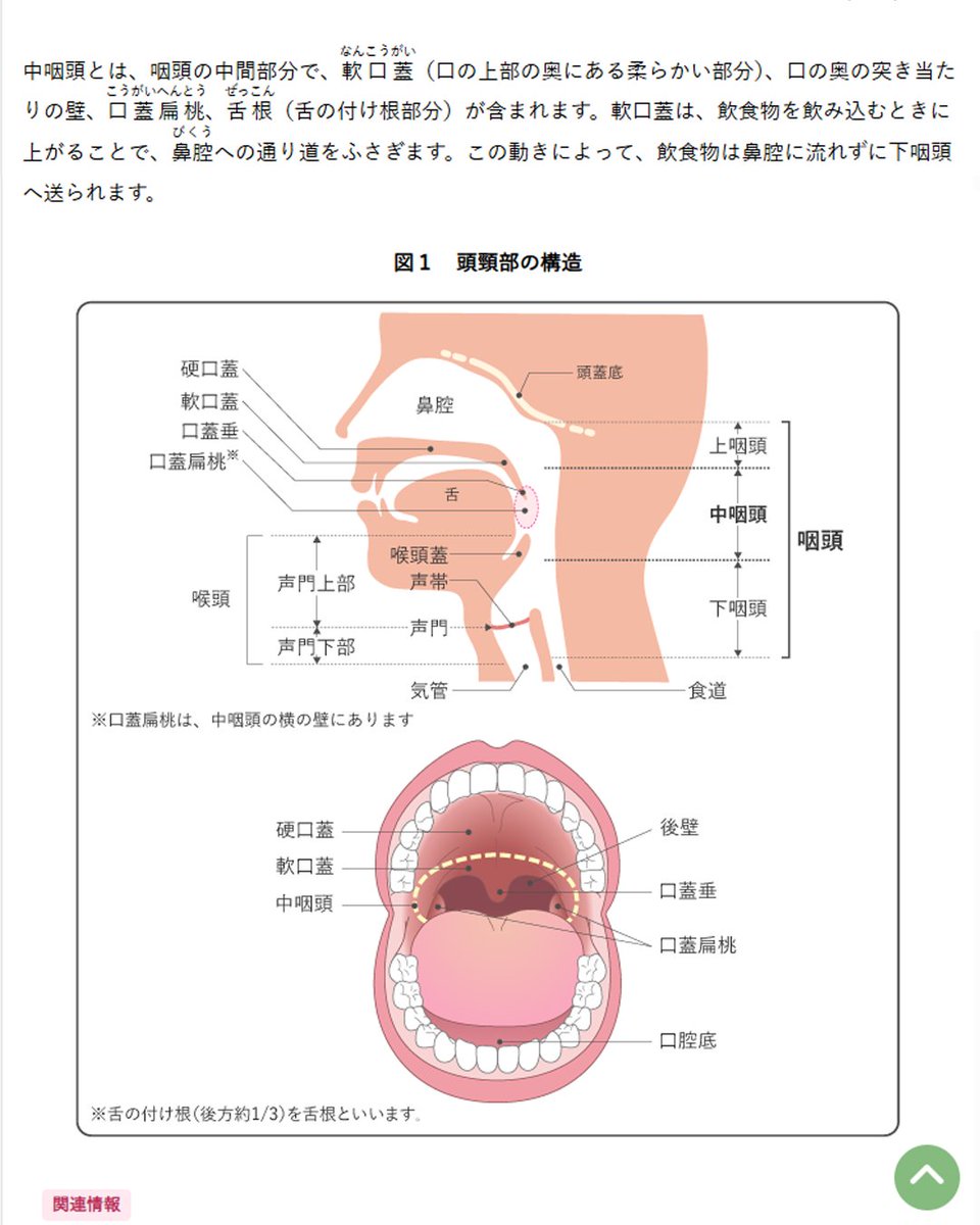 がん情報サービス tweet media