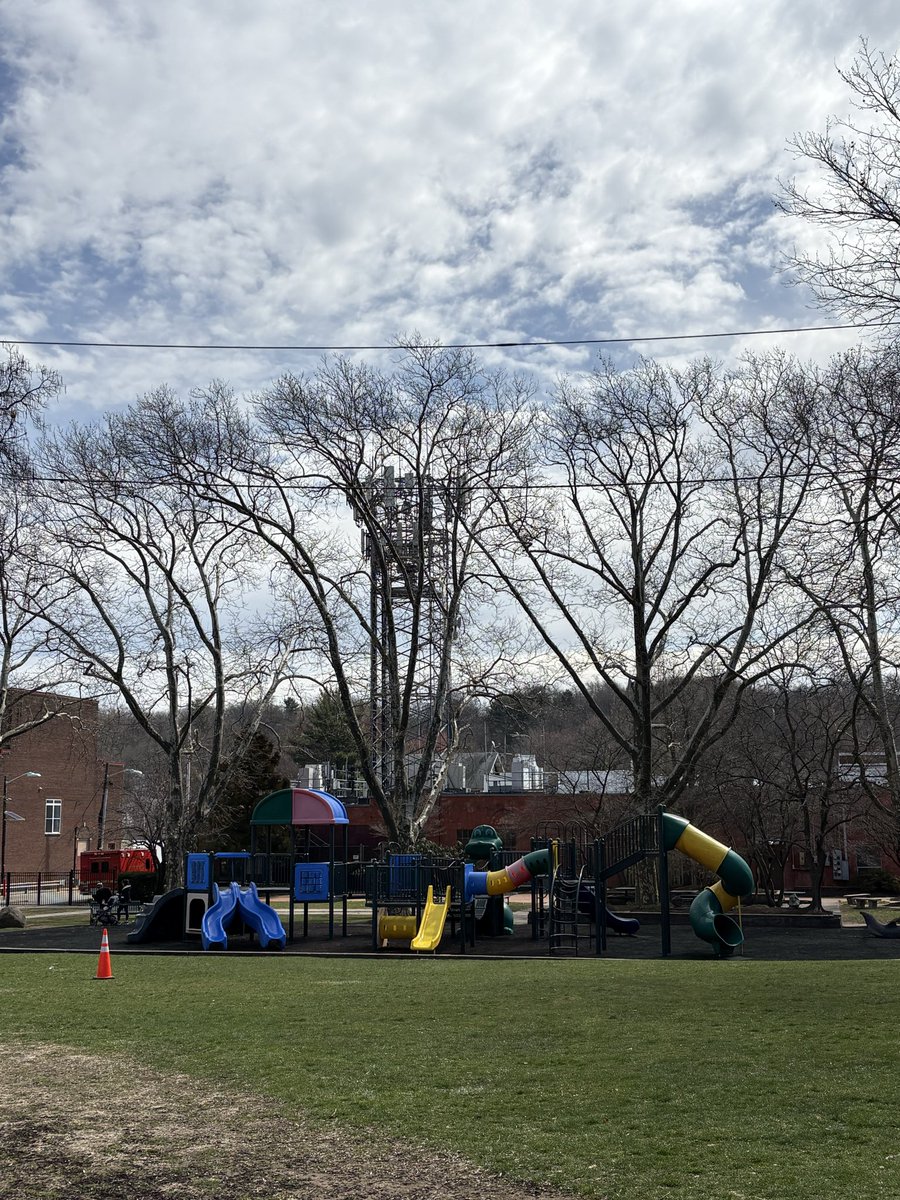 レモンライム tweet media