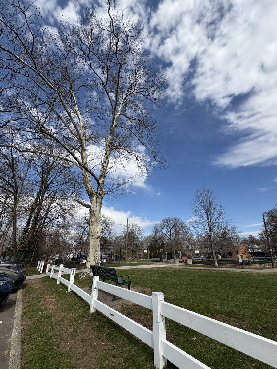 レモンライム tweet media