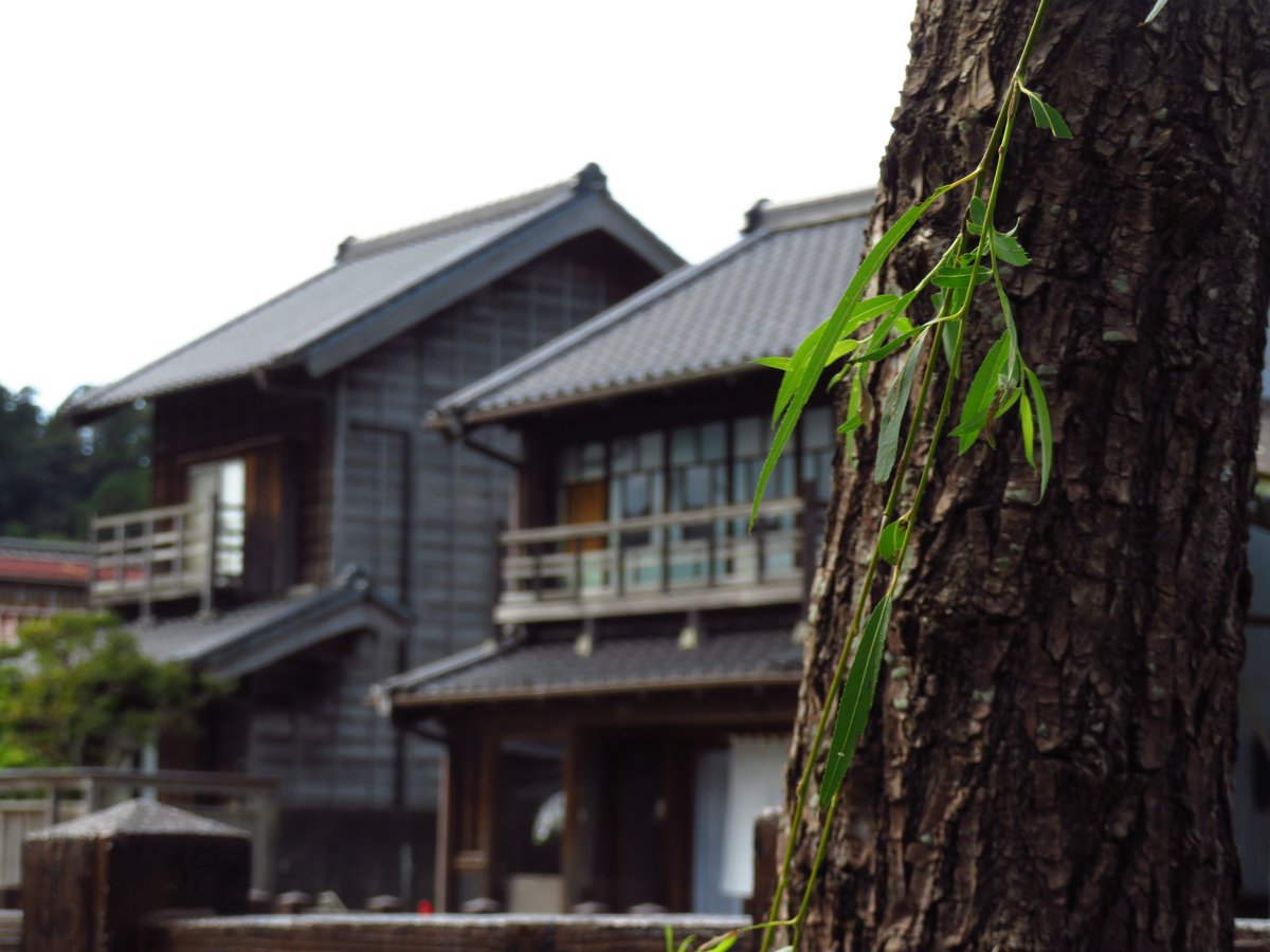 詞-Nori-フォローする前にプロフ見て! tweet media