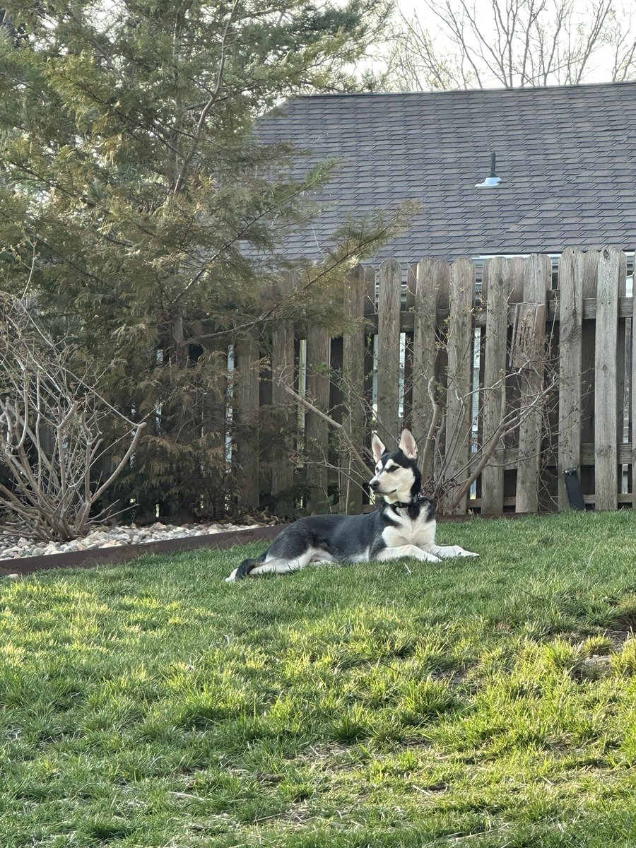 NKCChief tweet media