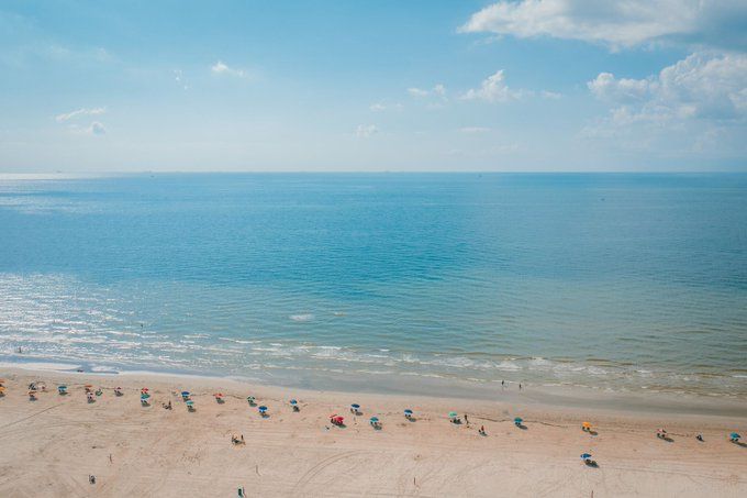 The Salty Dog Galveston tweet media