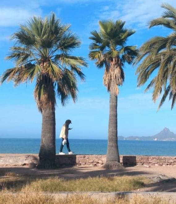 lamayordemislocurax tweet media